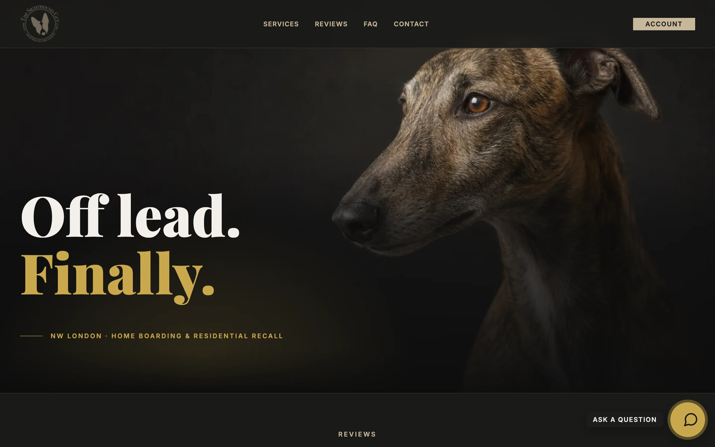 The Sighthound Guy homepage screenshot